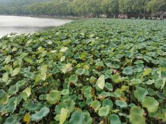 -天宁凯利时尚餐厅