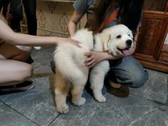 -浮生探案馆·剧本·狼人杀·电竞