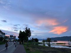 -才村湿地公园