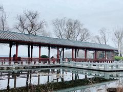 -金银湖国家城市湿地公园