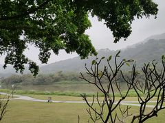 -风云岭森林公园