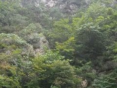 android_upload_pic-大连冰峪旅游度假区