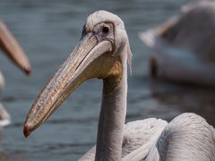 -乐和乐都主题乐园