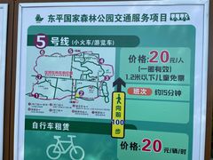 -东平国家森林公园