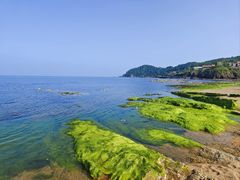 -烟墩角天鹅湖