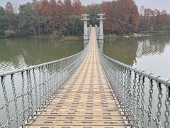-东湖落雁景区
