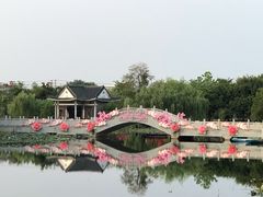 -映月湖公园