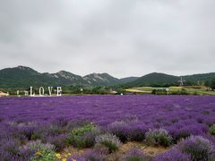 -西海岸生态观光园