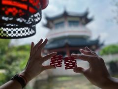 -广东花都湖国家湿地公园