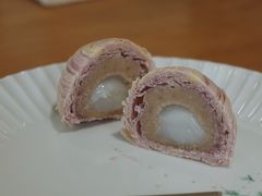 -猫里有甜