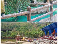 -西双版纳原始森林公园