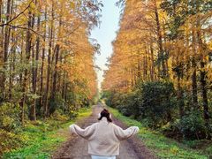 -上海海湾国家森林公园