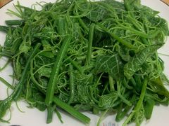 丝瓜尖-力力豆花庄(广渠门店)