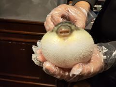 -肆月河豚·新淮扬(金融街店)
