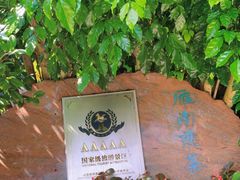 -雁南飞茶田景区