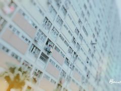 -彩虹村