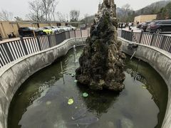 -雅和生态渔庄·宜城锅巴饭(龙灵山公园店)