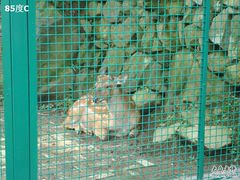 -藏龙百瀑风景区