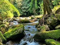 -青城山