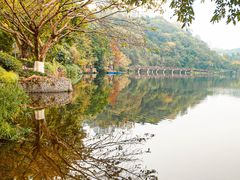 -重庆彩云湖湿地公园