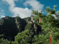 -王顺山国家森林公园