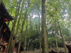 -青城山