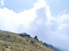 -白草畔自然风景区