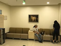 -美联众合动物医院·24h转诊中心