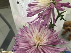 -Butchart布查德鲜花(花艺设计中心)