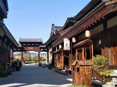 -莲花山花海