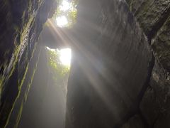 -梦幻奥陶纪景区