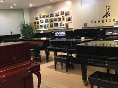 -柏斯琴行(汾阳店)