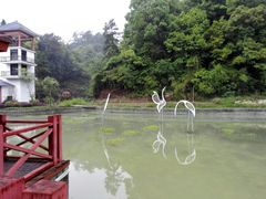 -九龙江国家森林公园