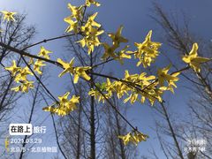 -国家植物园