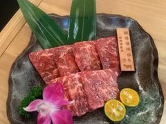 -本寻烧肉酒场(金宝街店)