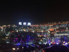 -枇杷园食为鲜火锅(南山店)