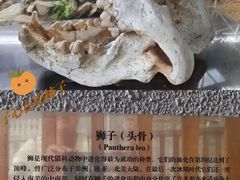 -中国第四纪冰川遗迹陈列馆