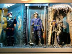 -陕西自然博物馆