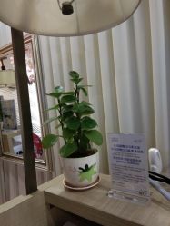 -丝域养发馆