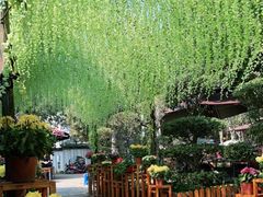 -张鸟园农家乐(张鸟园店)
