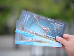 -自贡恐龙博物馆