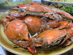 -渔家小院观海海肠捞饭地方菜(环海中路店)