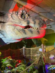 -恐龙探索乐园(磁器口店)