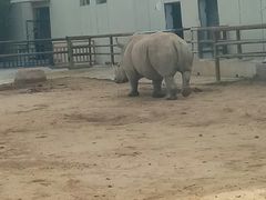 -鄂尔多斯野生动物园