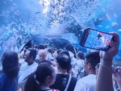 -海合安成都极地海洋公园