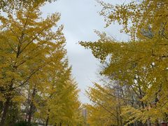 -周黑鸭(北京丰台区方庄物美玉蜓桥店)