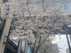 -宝燕壹号景观餐厅(龙盛国际商业广场店)