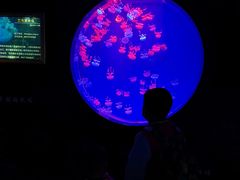 -多彩贵州城极地海洋世界