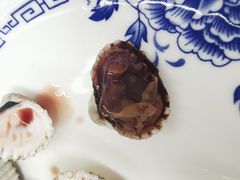 血蛤-老三鱼仔店