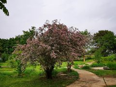 -国家植物园南园